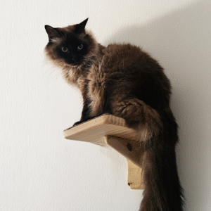 Degrau de parede para gatos em madeira de Pinus Médio